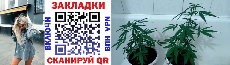 Купить Канабис  КЕТАМИН  ГАШИШ  Мефедрон  Alpha PVP  Новоалександровск