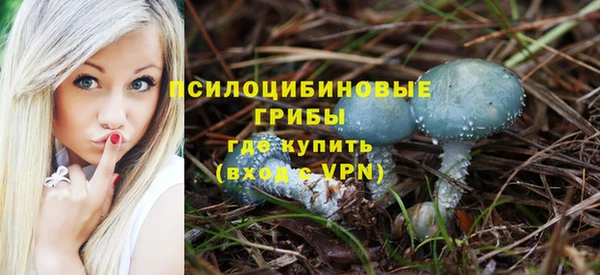 ПСИЛОЦИБИНОВЫЕ ГРИБЫ Верхнеуральск