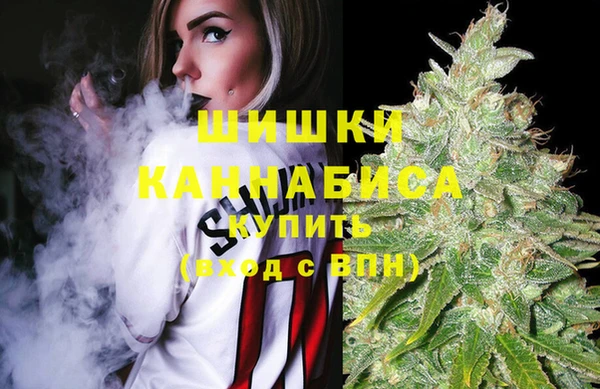 ПСИЛОЦИБИНОВЫЕ ГРИБЫ Верхнеуральск