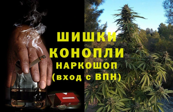 ПСИЛОЦИБИНОВЫЕ ГРИБЫ Верхнеуральск