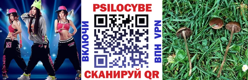 Купить где  Новоалександровск  Псилоцибиновые грибы Psilocybine cubensis 